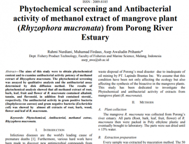 Phytochemical screening and antibacterial activity of methanol extract of mangrove plant (Rhizophora mucronata) from Porong River Estuary