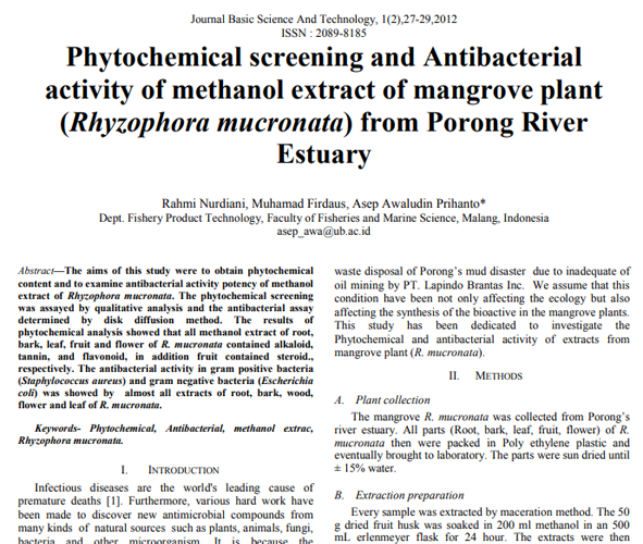 Phytochemical screening and antibacterial activity of methanol extract of mangrove plant (Rhizophora mucronata) from Porong River Estuary