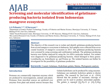 Screening and Molecular Identification of Gelatinase Producing Bacteria Isolated from Indonesia Mangrove Ecosystem