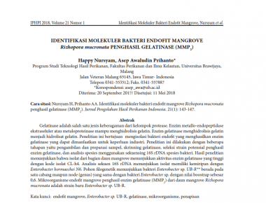 Identifikasi Molekuler Bakteri Endofit Mangrove Rizhopora mucronata Penghasil Gelatinase (MMP2)