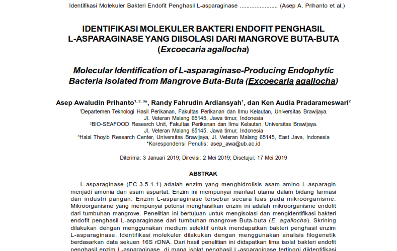 Identifikasi Molekular Bakteri Endofit Penghasil L-asparaginase yang Diisolasi dari Mangrove Buta-Buta (Excoecaria agallocha)