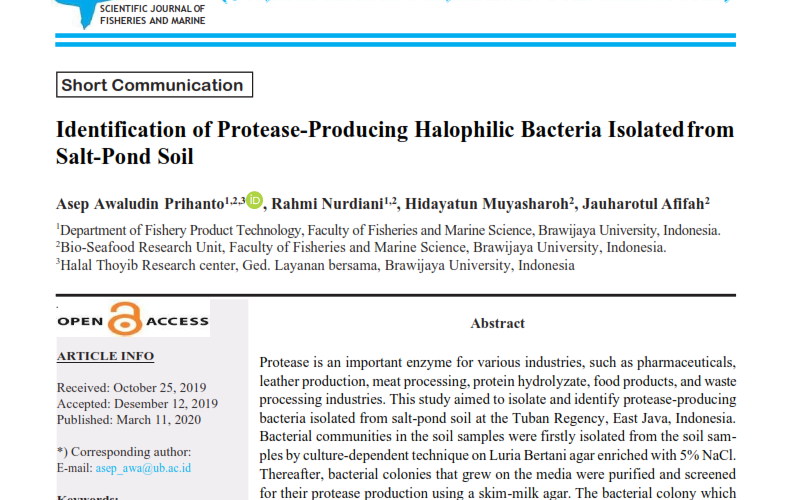 Identification of Protease-Producing Halophilic Bacteria Isolated from Salt-Pond Soil