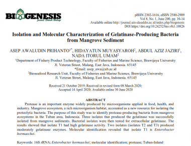 Isolation and Molekular Characterization of Gelatinase-Producing Bacteria from Mangrove Sediment