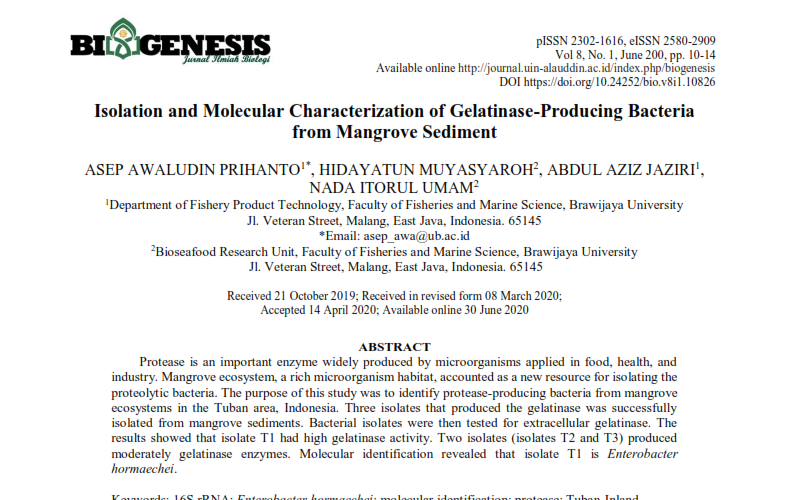 Isolation and Molekular Characterization of Gelatinase-Producing Bacteria from Mangrove Sediment