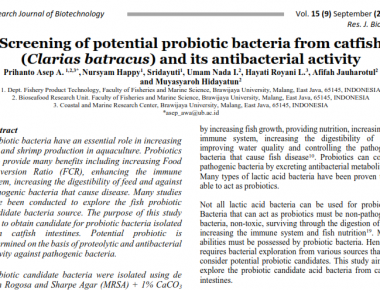 Screening of Potential Probiotic Bacteria from Catfish (Clarias batracus) and Its Antibacterial Activity