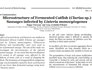 Microstructure of Fermented Catfish (Clarias sp.) Sausages infected by Listeria monocytogenes