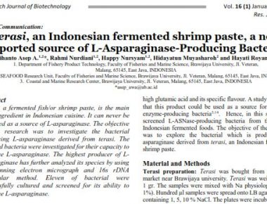 Terasi, an Indonesian fermented shrimp paste, a newreported source of L-Asparaginase-Producing Bacteria